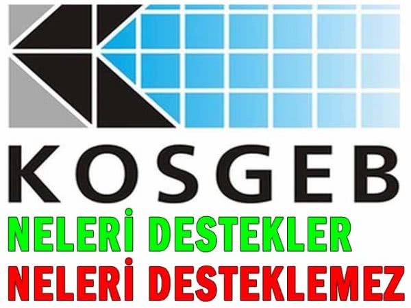 kosgeb 2017 neleri destekler neleri desteklemez