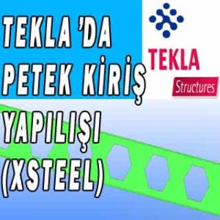 tekla structures petek kiriş yapımı xsteel