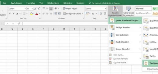 Excel yinelenen değerleri tespit etme ve mükerrer kayıtları bulma.